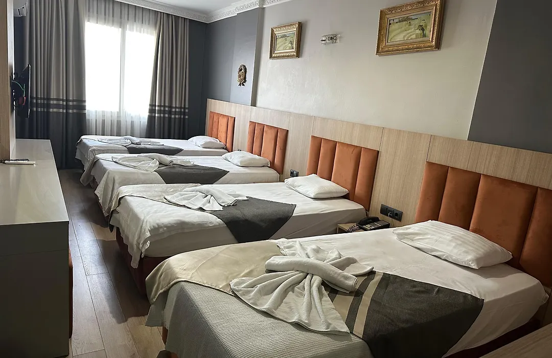 Metros Hotel-1